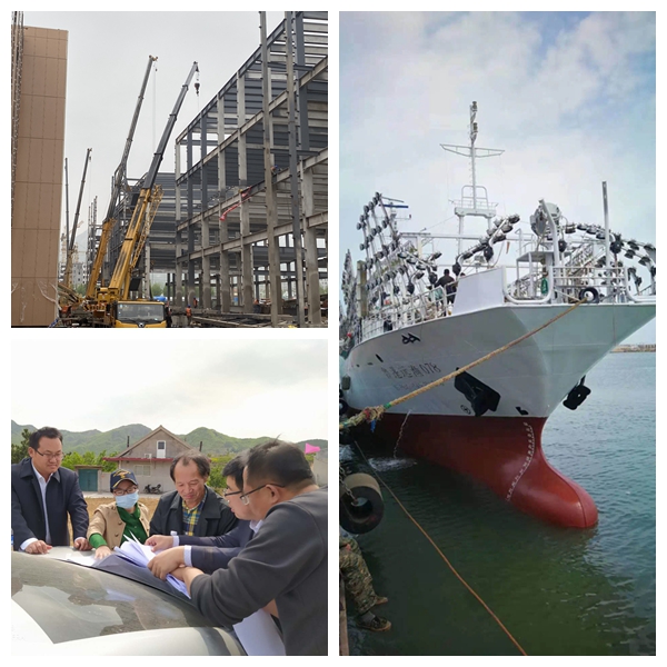 XPJ�����¾���(�й���)�ٷ���վ