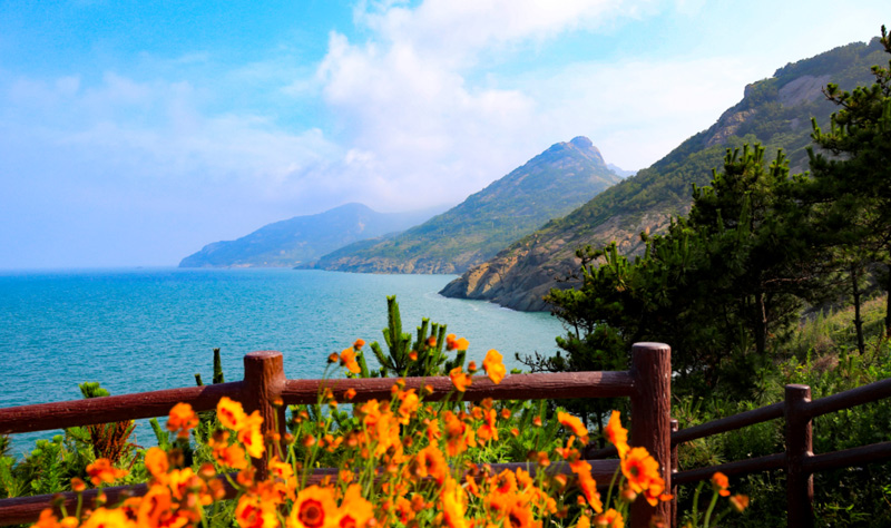 XPJ�����¾���(�й���)�ٷ���վ