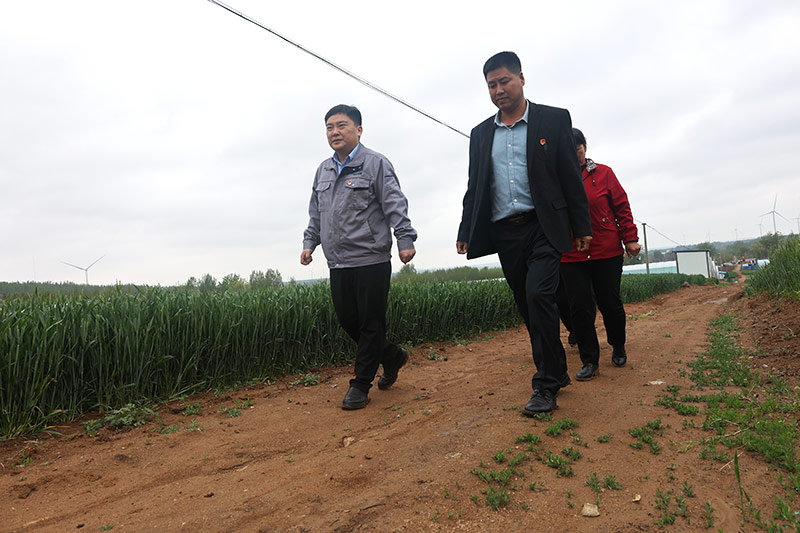 XPJ�����¾���(�й���)�ٷ���վ