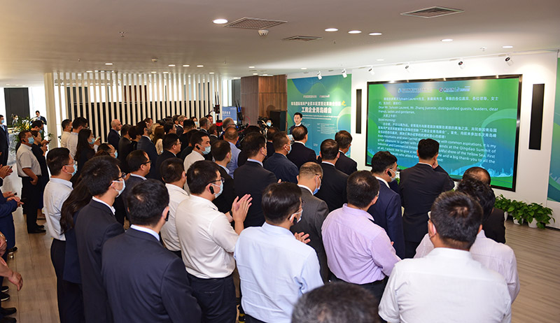 XPJ�����¾���(�й���)�ٷ���վ