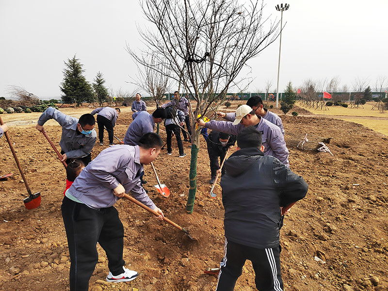 XPJ�����¾���(�й���)�ٷ���վ