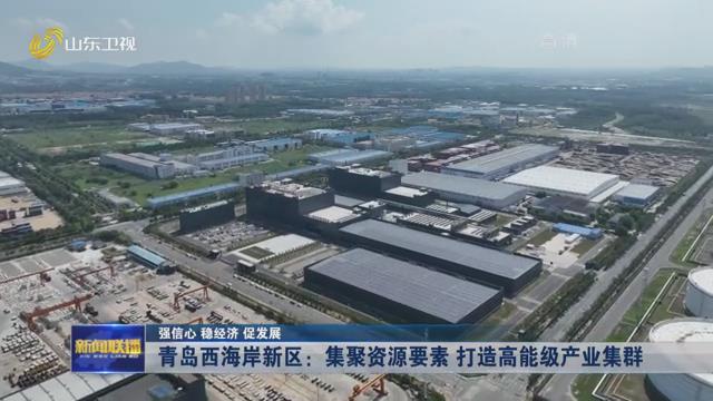 XPJ�����¾���(�й���)�ٷ���վ