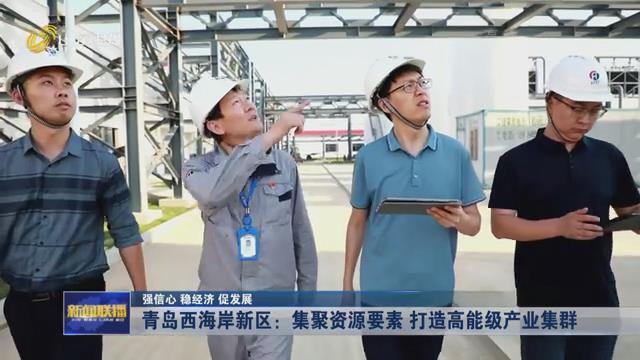 XPJ�����¾���(�й���)�ٷ���վ