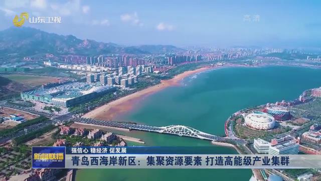 XPJ�����¾���(�й���)�ٷ���վ