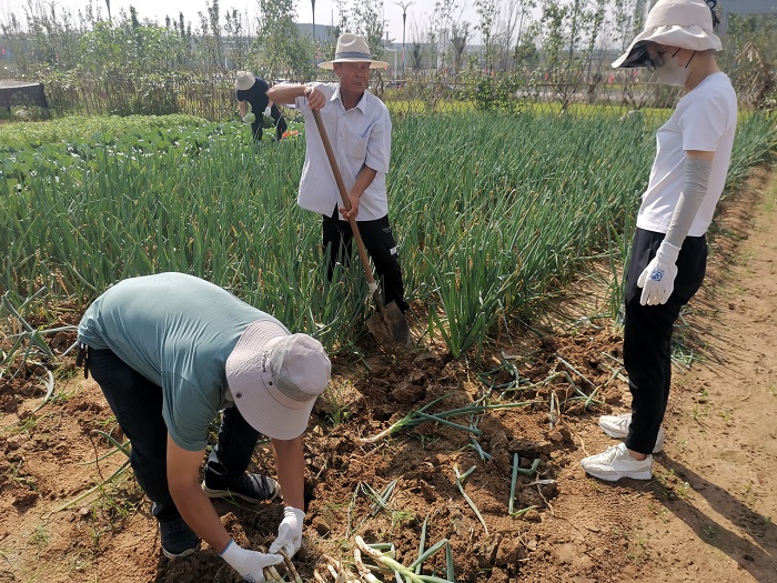 XPJ�����¾���(�й���)�ٷ���վ