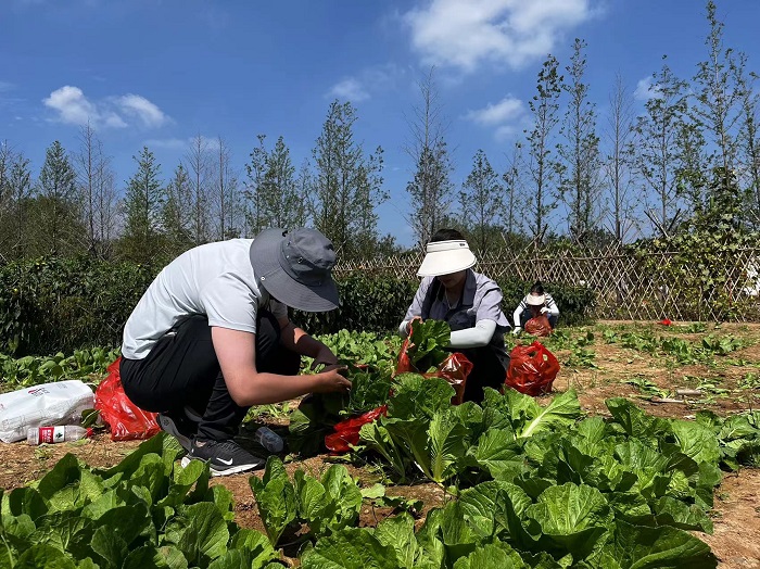 XPJ�����¾���(�й���)�ٷ���վ