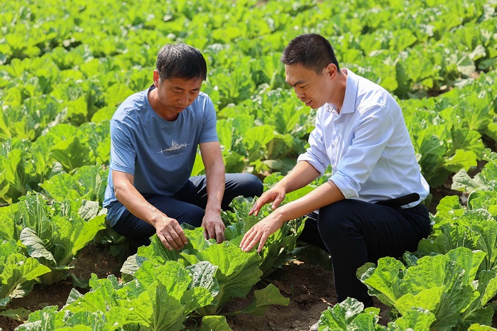 XPJ�����¾���(�й���)�ٷ���վ