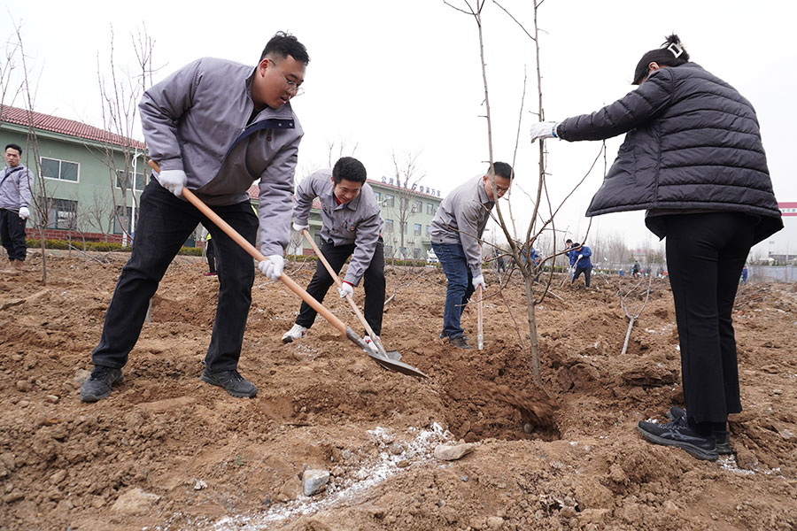 XPJ�����¾���(�й���)�ٷ���վ