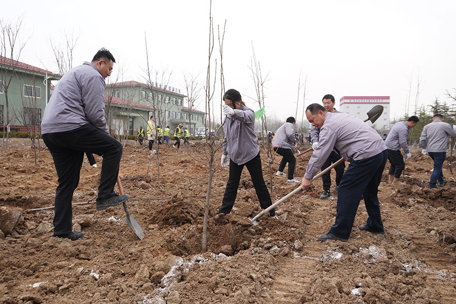 XPJ�����¾���(�й���)�ٷ���վ