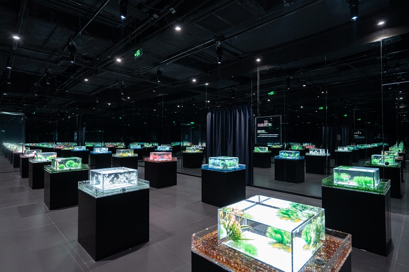 XPJ�����¾���(�й���)�ٷ���վ