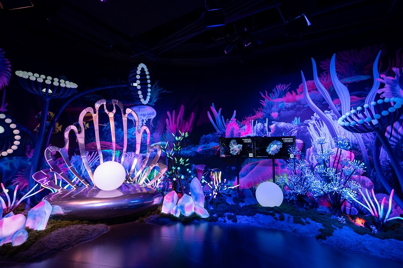 XPJ�����¾���(�й���)�ٷ���վ