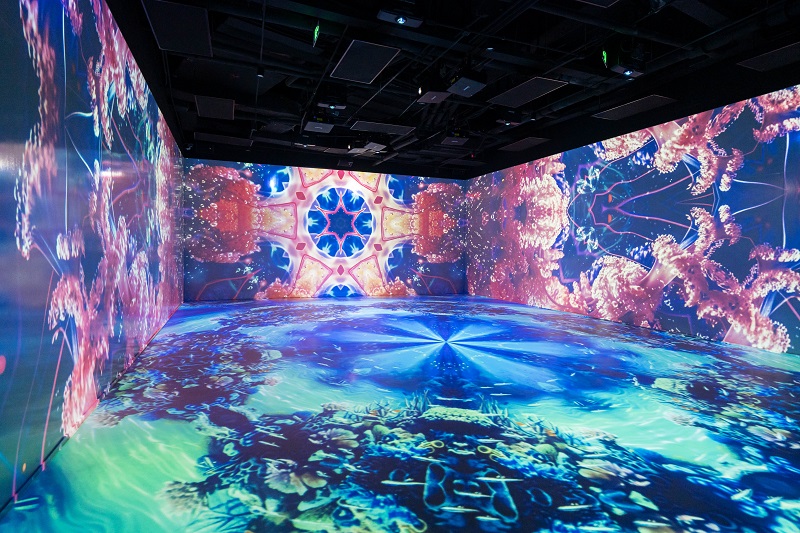 XPJ�����¾���(�й���)�ٷ���վ